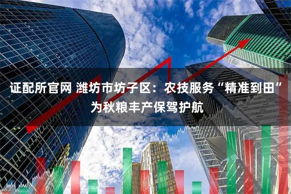 证配所官网 潍坊市坊子区：农技服务“精准到田” 为秋粮丰产保驾护航