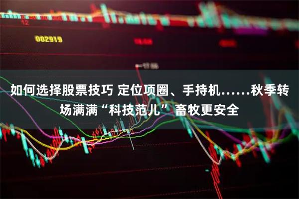 如何选择股票技巧 定位项圈、手持机……秋季转场满满“科技范儿” 畜牧更安全