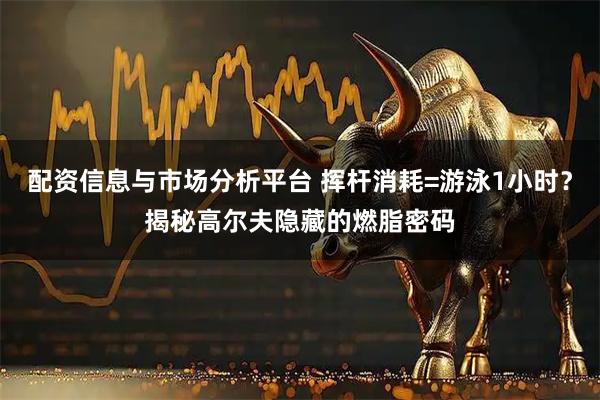 配资信息与市场分析平台 挥杆消耗=游泳1小时？揭秘高尔夫隐藏的燃脂密码